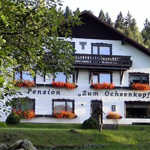 Am Ochsenkopf Bischofsgrün